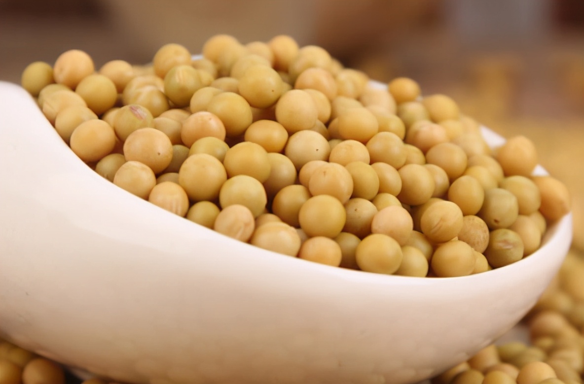 自己在家发豆芽的制作方法,在家发豆芽新做法