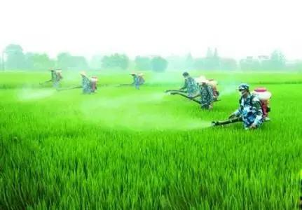 农药四霉素缺点,各种农药杀菌剂的优点与缺点