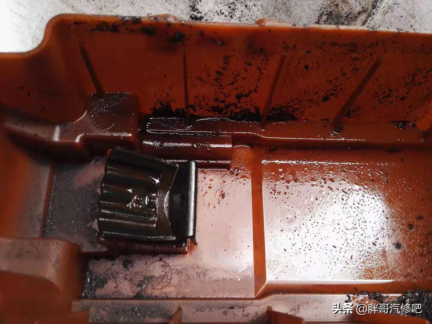 19年蓝鸟难启动很抖,2004年老蓝鸟