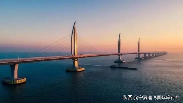 广州长隆海洋公园旅游攻略,广州长隆动物园一日游套票