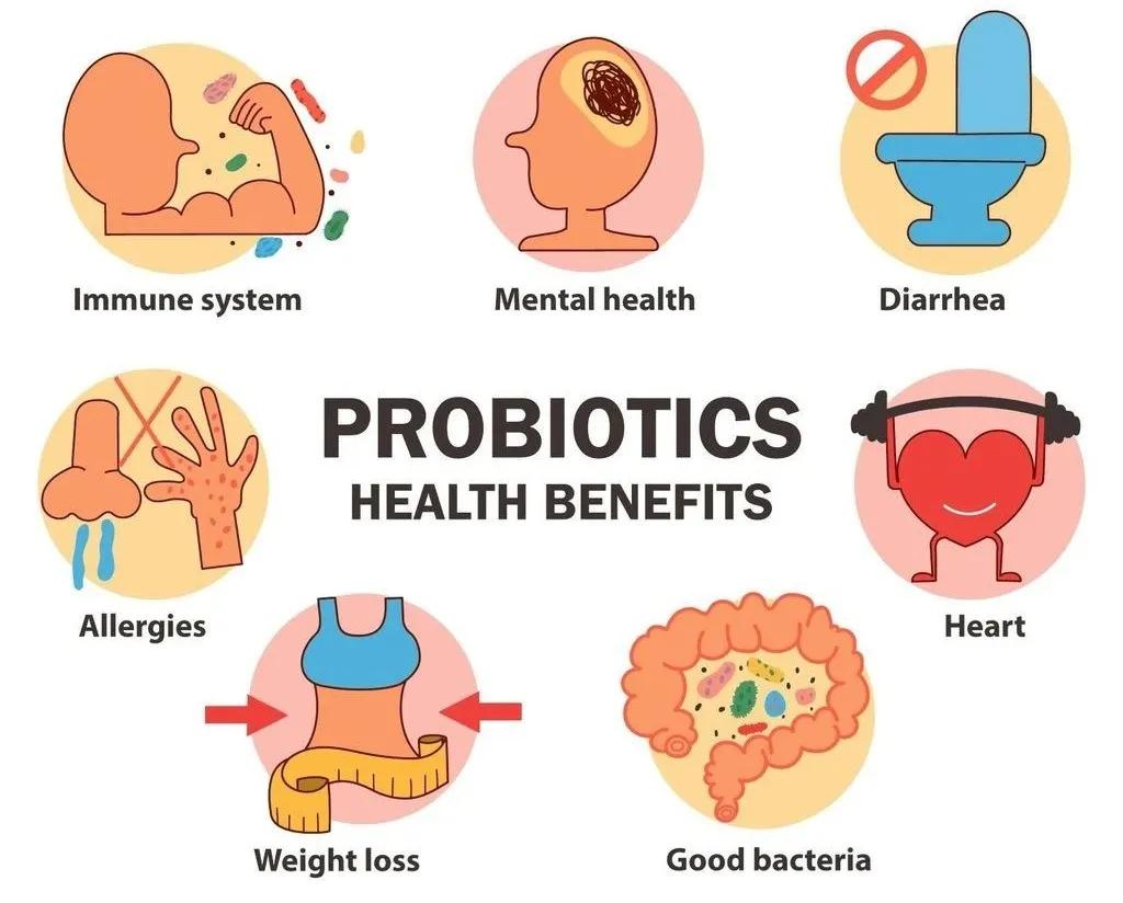 益生菌的商业模式,益生菌健康之路