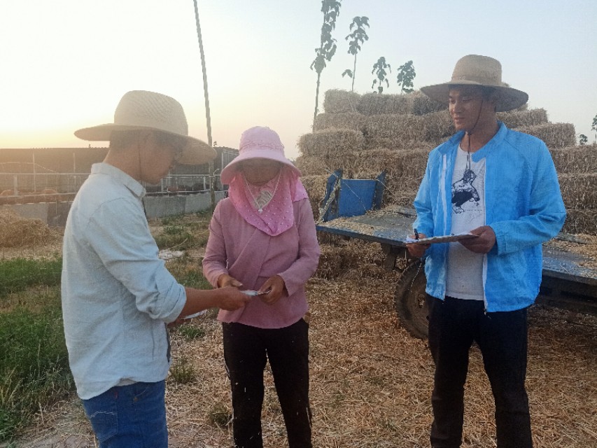 秸秆废物利用价格,湖北沙洋秸秆回收变废为宝