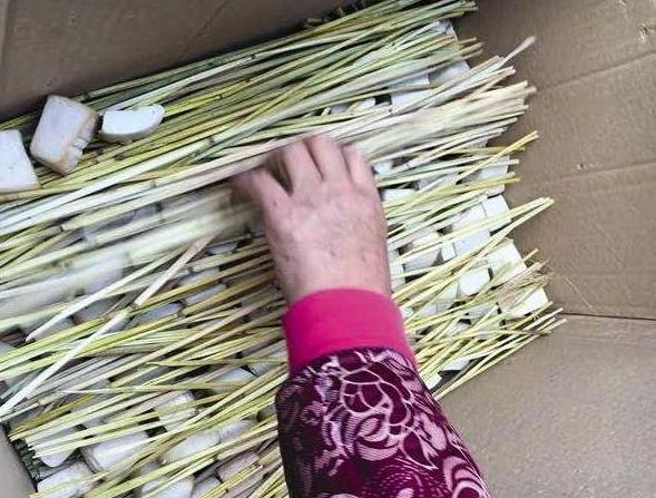 做霉豆腐，只加食盐是不行的，多加这“3样”，美味提升“1倍”