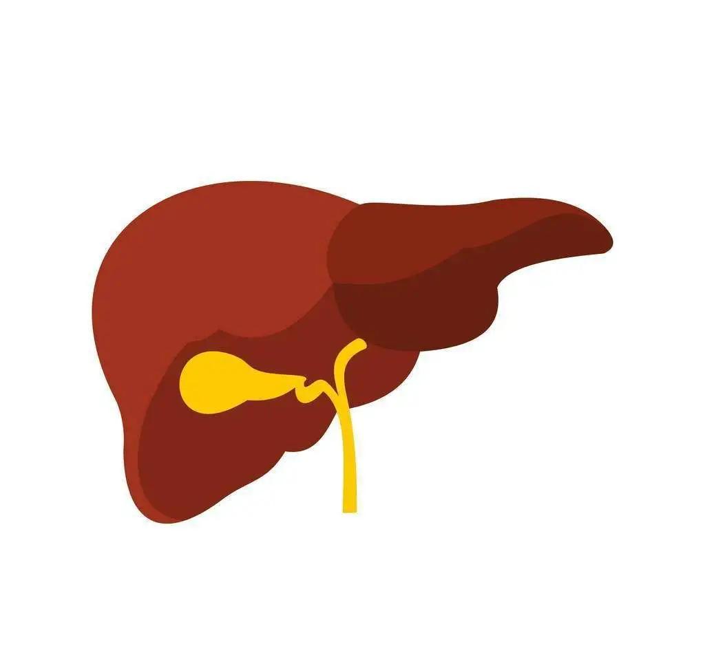 饭后胃堵喉咙有异物感,饭后胃堵得慌是怎么回事