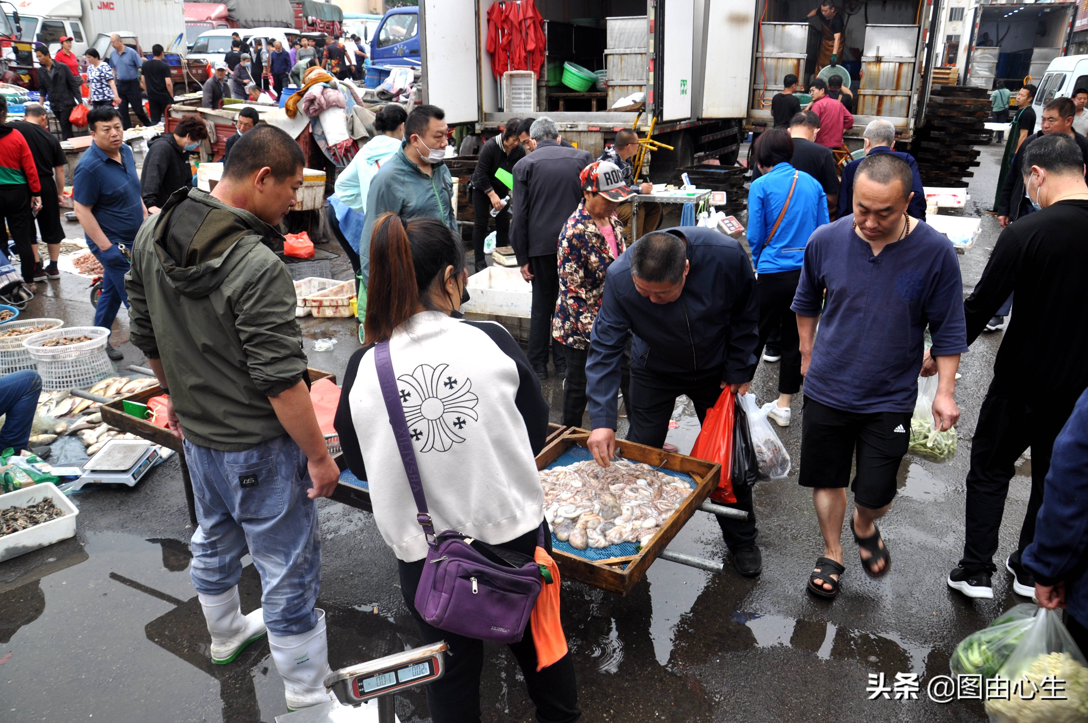 节后生意开忙，青岛批发大虾老板凌晨3点起床，十年买了三套房