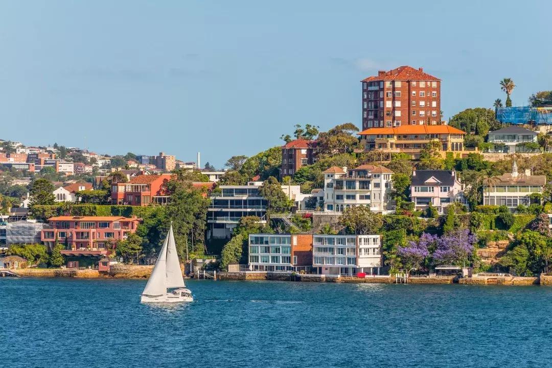 入境可以带水果和零食吗,入境时可以携带熟食牛肉