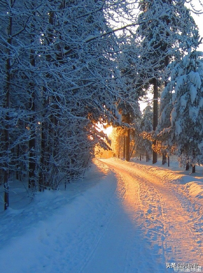 甜文带感小说推荐,糙汉甜宠文一口气看完