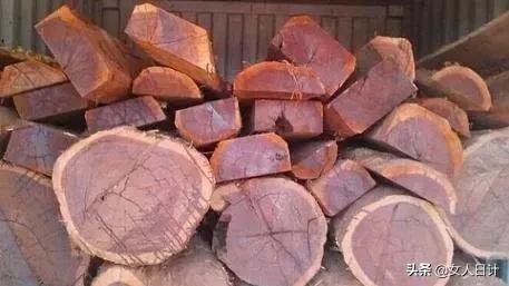 “非洲酸枝”“南美酸枝”——傍名的红木家具