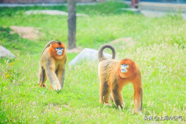 山东亲子乐园好玩吗,山东适合小宝宝玩的亲子乐园