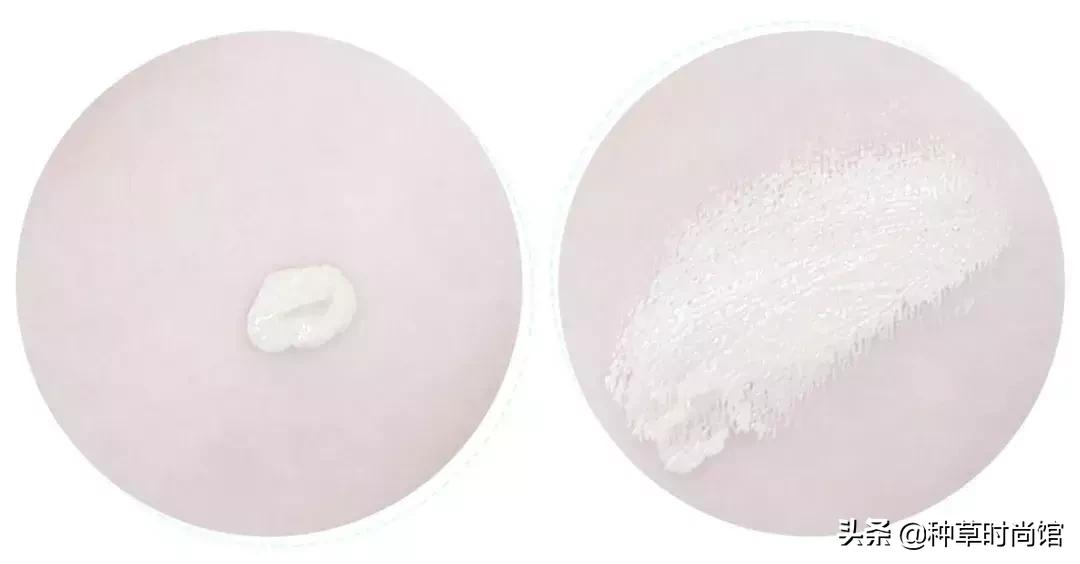 测评500ml粉底液,测评500块钱粉底液