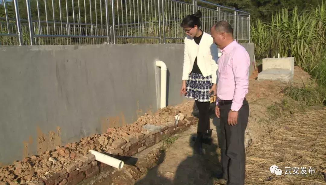 农民群众喝上放心水,确保人民群众喝上放心茶