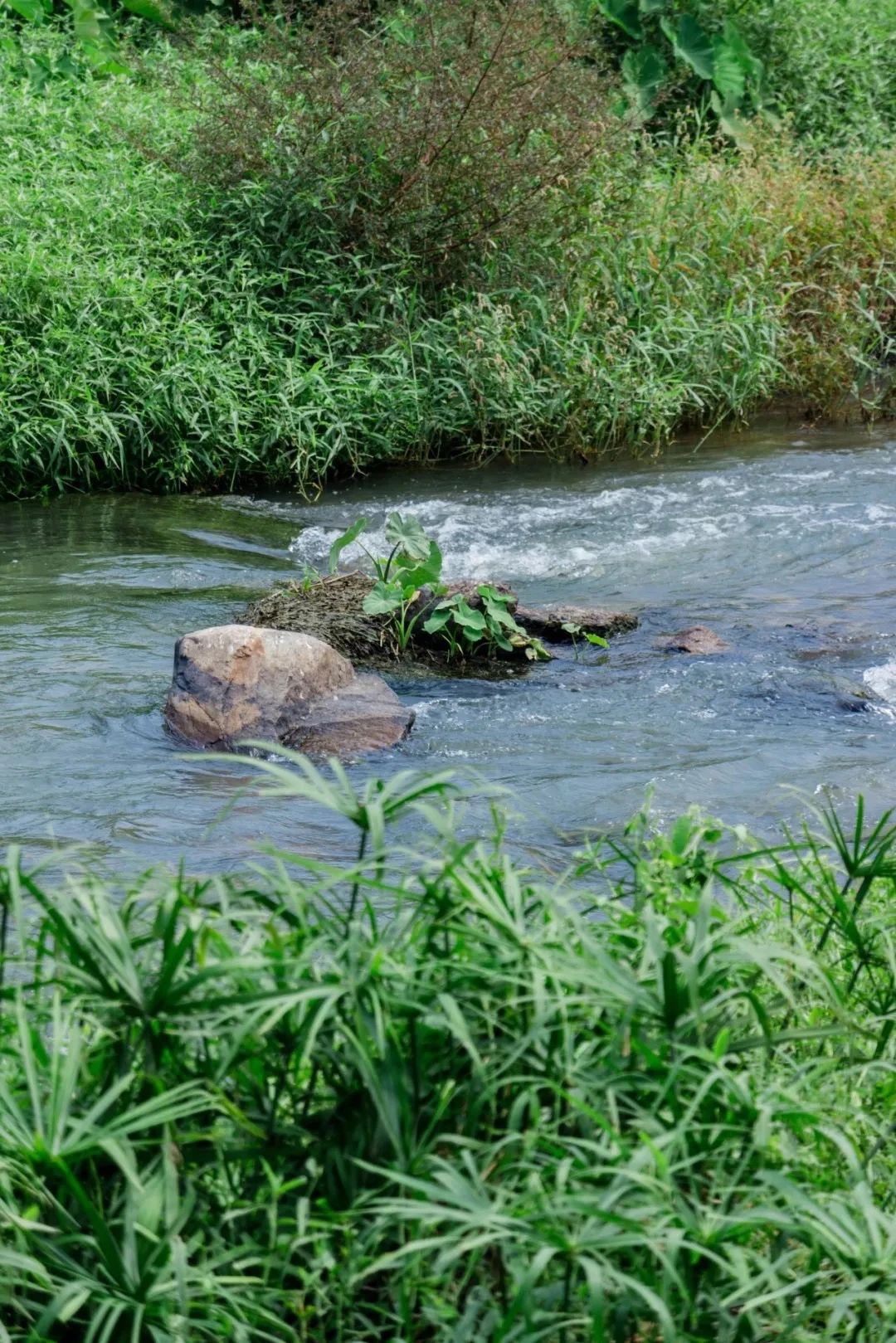 深圳3号线有哪些可以玩的,深圳7号线攻略