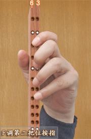 二胡dg调内外弦位置,二胡dgf调把位图