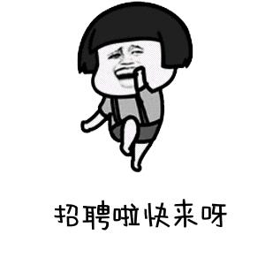 最新招聘279人内附岗位计划表,招聘求职10人