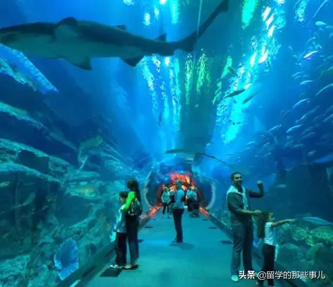 墨尔本亲子游旅游攻略大全,墨尔本亲子游攻略