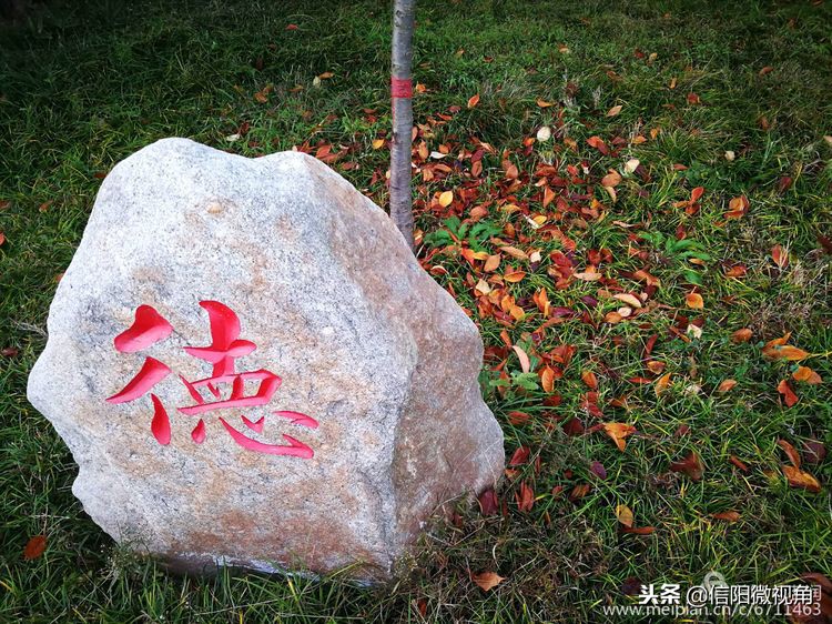 信阳154医院老兵发文追忆：永远的一五四（图）