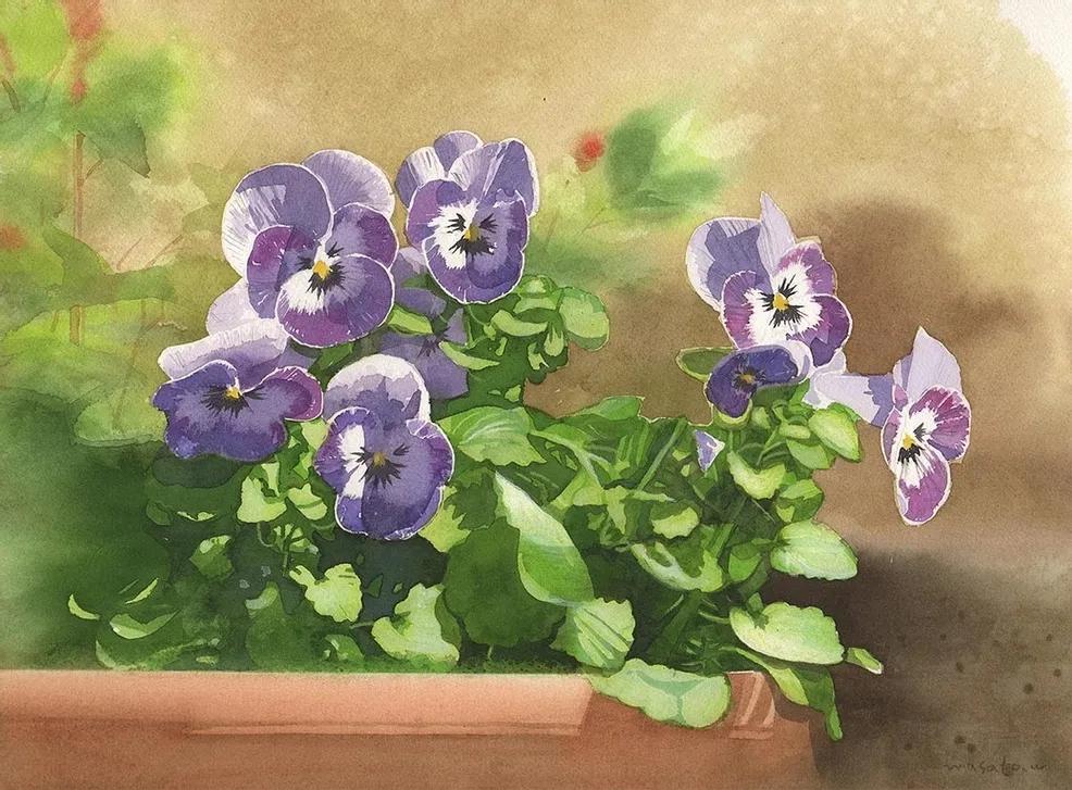 水彩大师笔下的花卉,简单唯美的水彩花卉