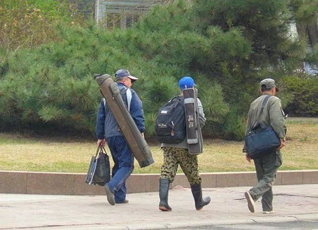 为娱而渔非为鱼而渔什么意思,为娱而渔喂鱼