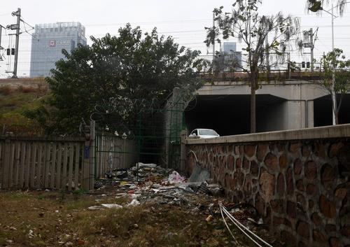 垃圾堆、破围挡、1米高的杂草、……郑州东站附近颜值亟待提升