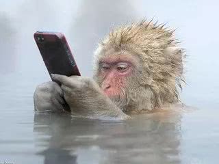 单身生活有多爽,日本宅男的真实生活