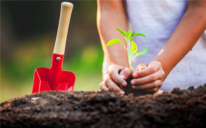 农村创业50个小型投资办厂好项目,免费农村投资办厂加盟