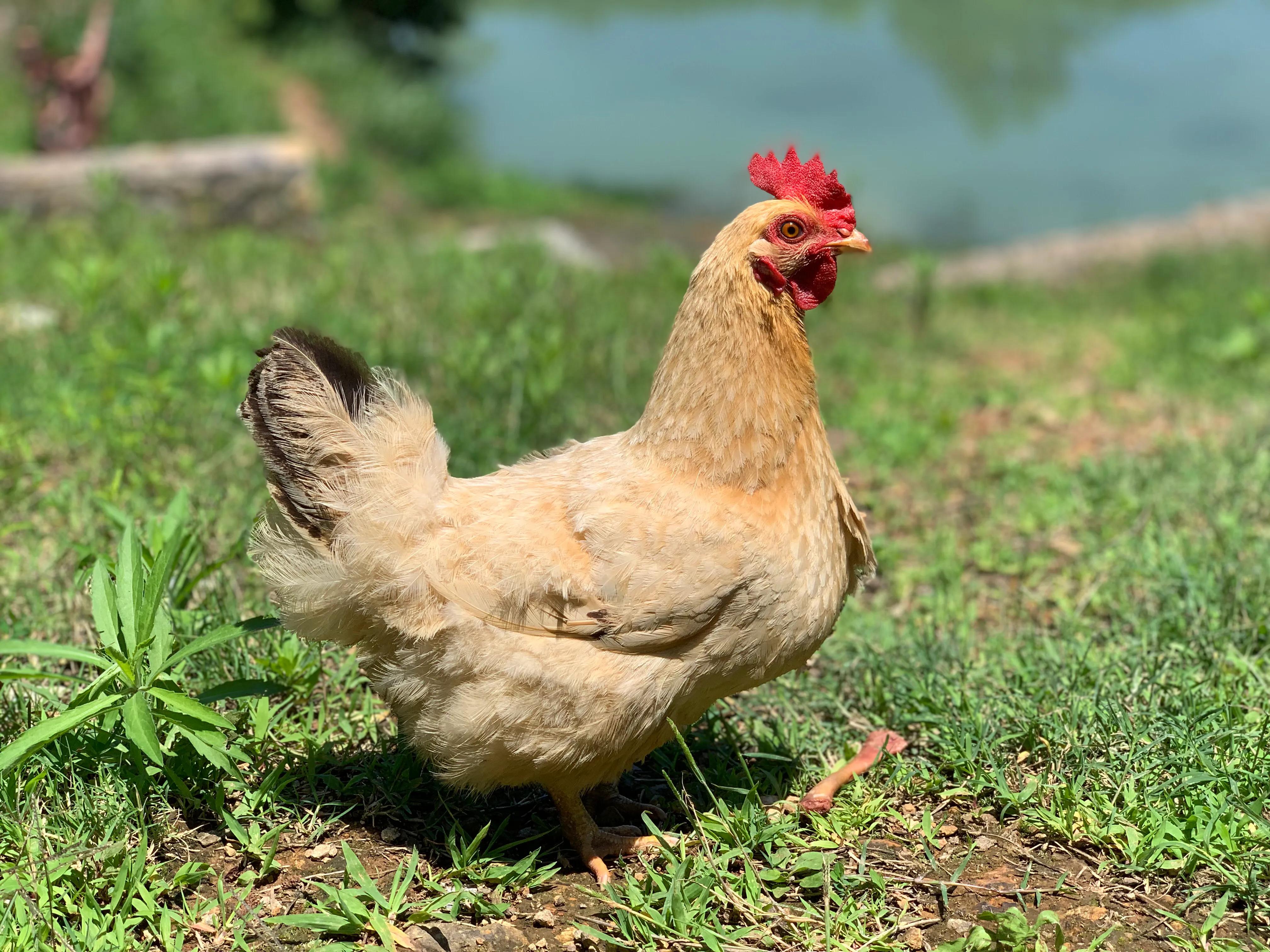 新昌盐帮古道十八渡一日游攻略,新昌安山古道和盐帮十八渡哪个好