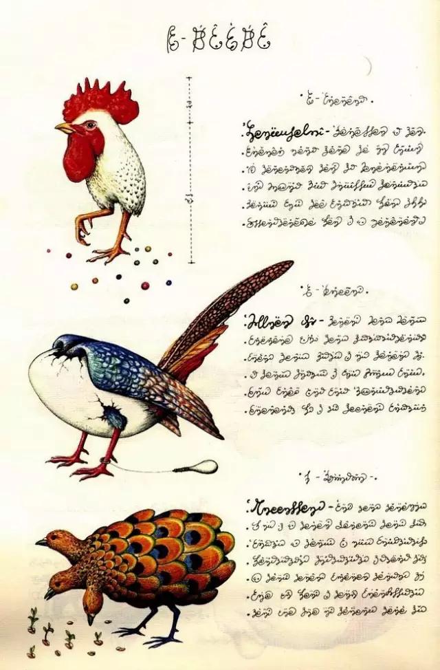 这本天马行空的百科全书有400多页，我却一个字都看不懂