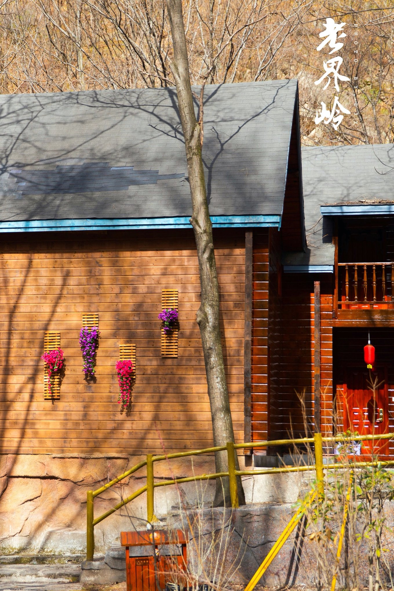 游览老界岭的感悟,河南老界岭景区