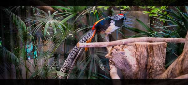 深度玩转泰国攻略,泰国游国际漫游