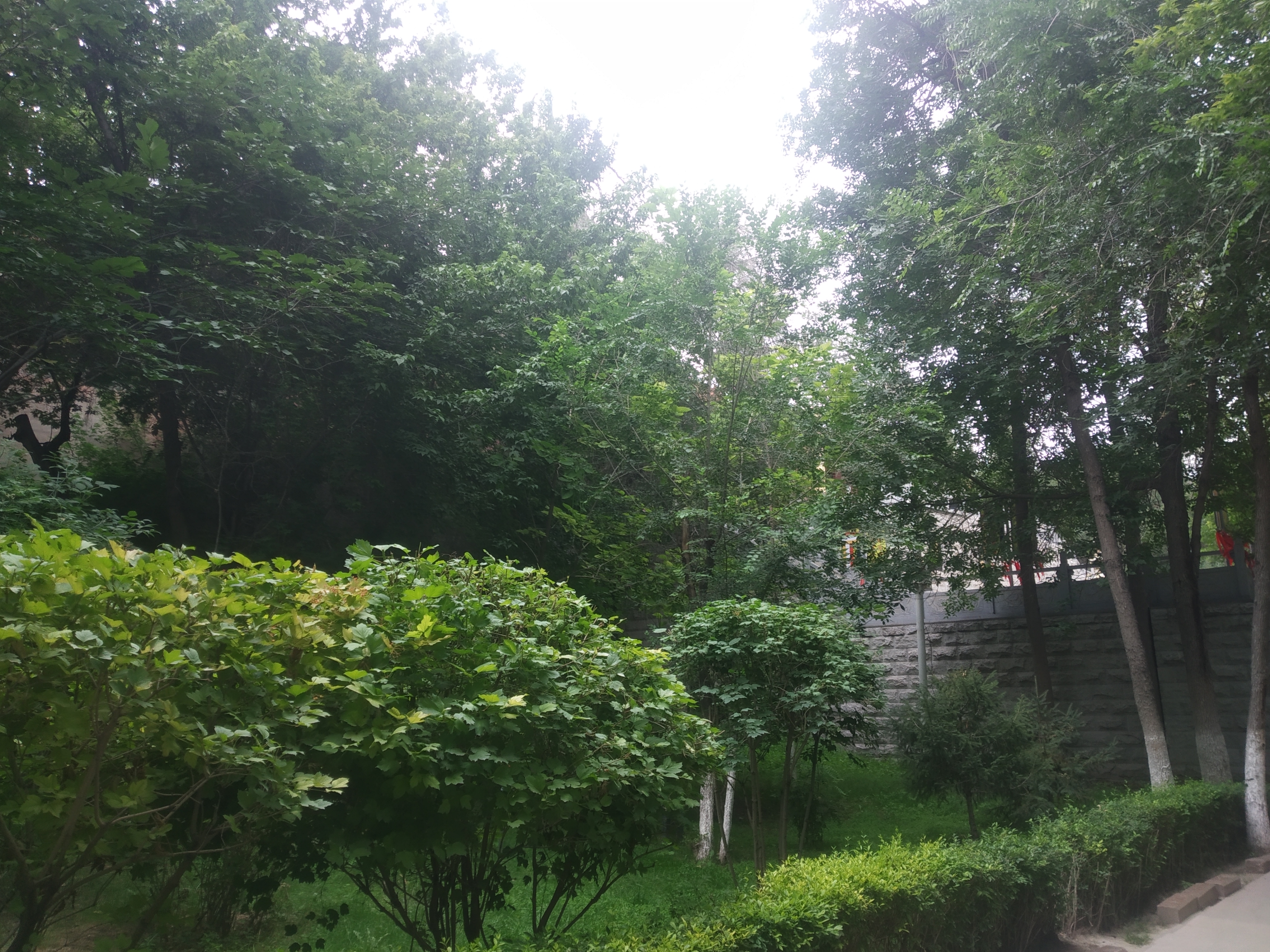 新疆乌鲁木齐市水磨沟区公园景点,乌鲁木齐2020年7月12日水磨沟公园