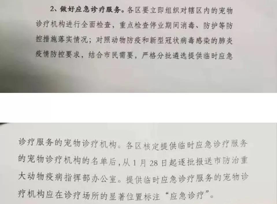 宠物腹泻呕吐做什么检查,爱宠呕吐是怎么回事