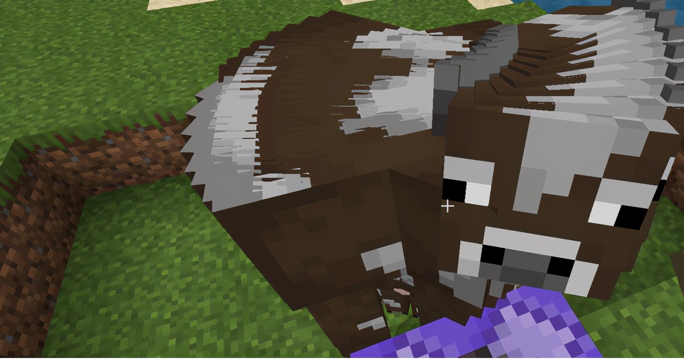 地狱九头猪？公鸡生雪蛋《我的世界》这两条指令造了什么出来？