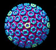 金斯瑞传染病系列视频,金斯瑞新冠试剂