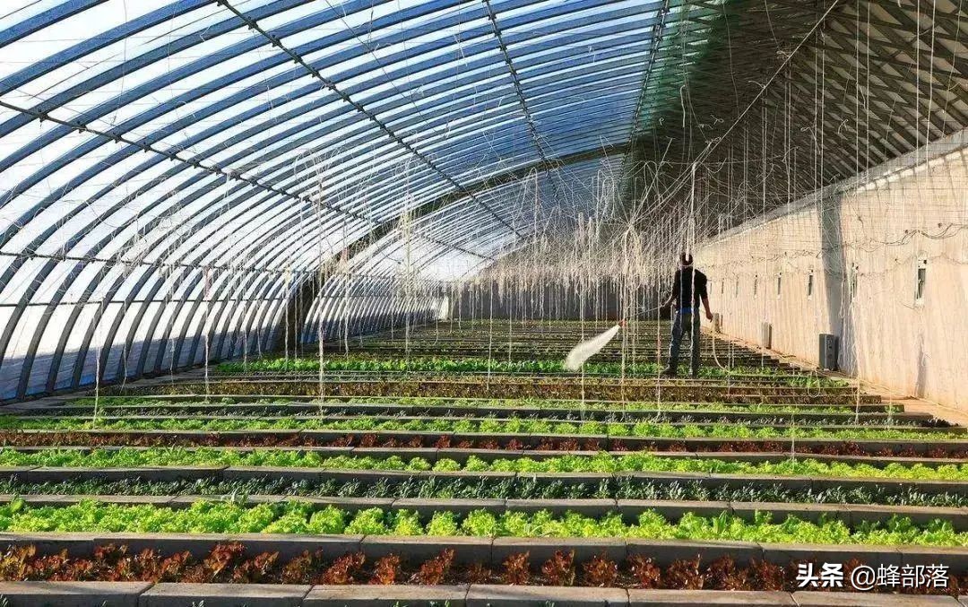 当下农村生意最赚钱的项目,在农村投资什么项目赚钱