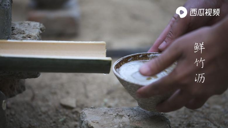 鲜竹沥怎么提取的,竹沥水用什么竹子提取的