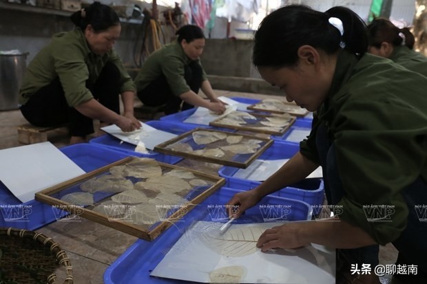 越南那些事,越南那些事完整版