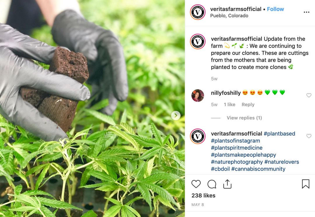 探讨CBD在美妆护肤和食品领域的应用及其未来趋势