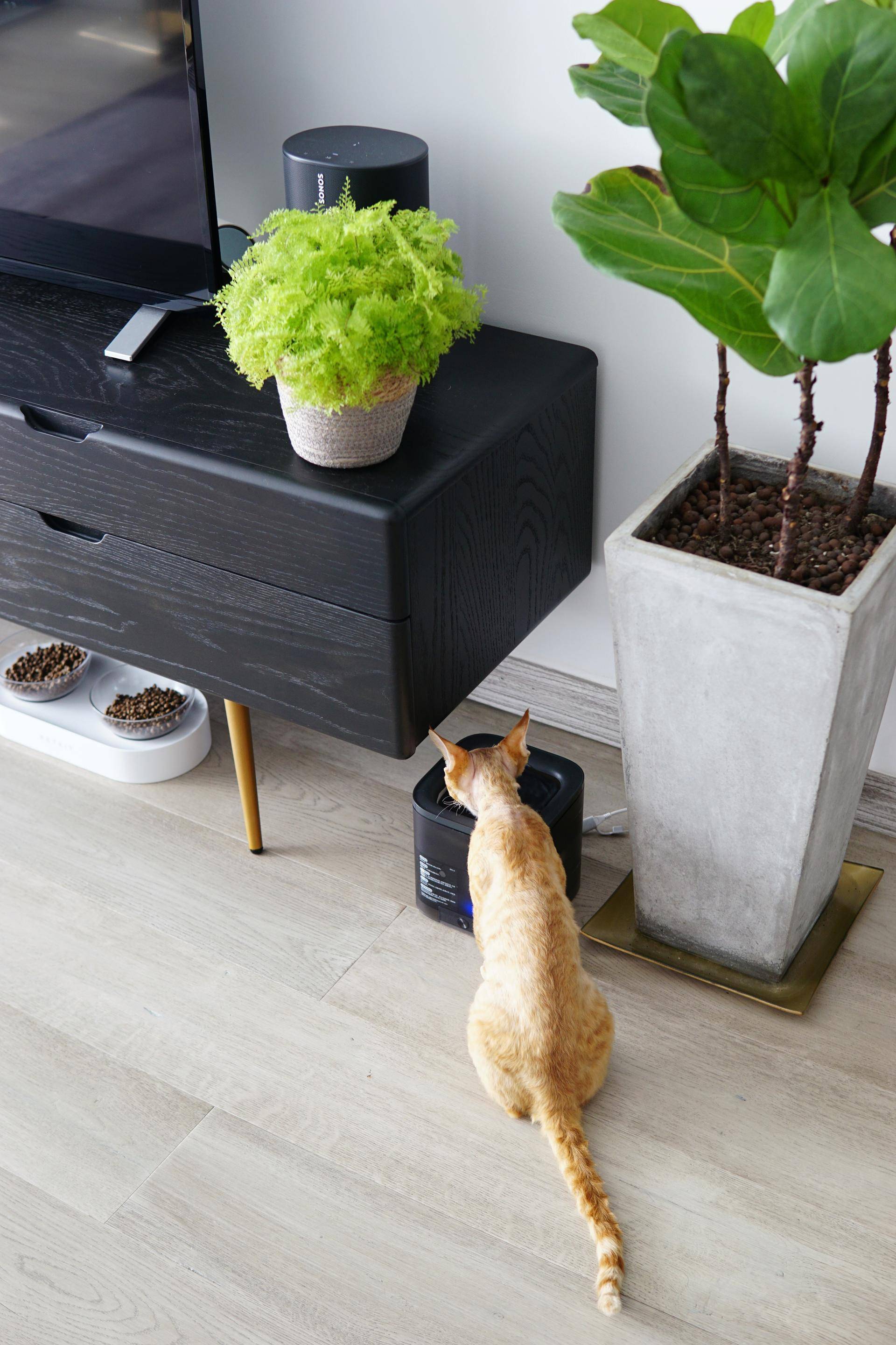 佳尼特冷热一体净水器优缺点,净热一体厨下净水机推荐