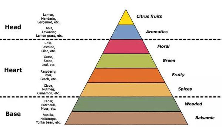 香水科普篇：闻香识女人，香水选错可能会致癌？3招教你挑对香水