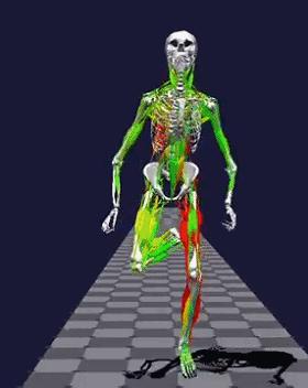 足部疼痛部位分析,足部疼痛对照图