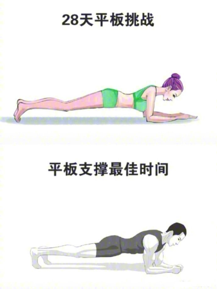 平板支撑30天减肥训练,平板支撑减肥好还是跑步减肥好