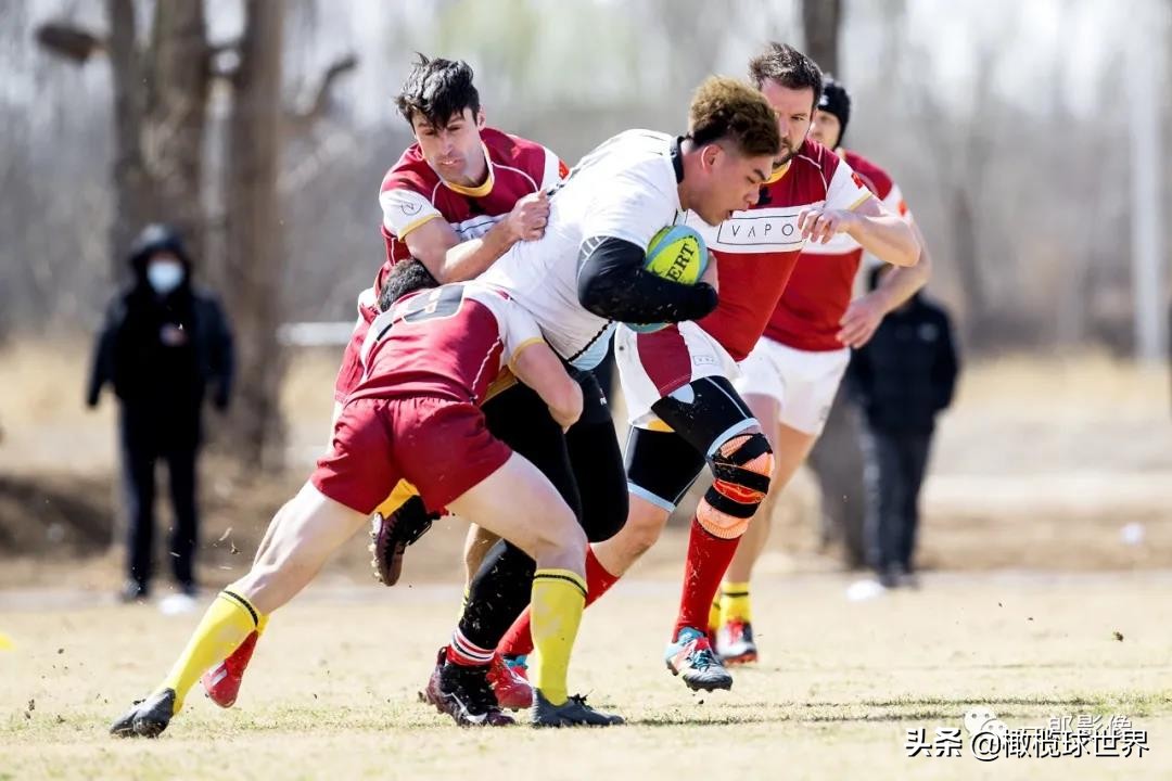 英式橄榄球今日赛程,2023年英式橄榄球中日韩青年比赛