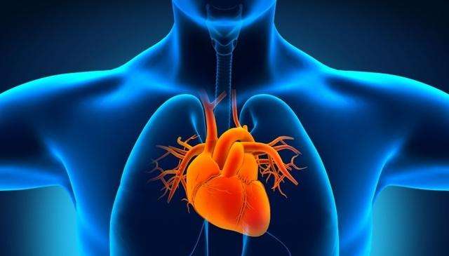 高温天气怎么避免中暑,高温天气会导致心脏中暑吗