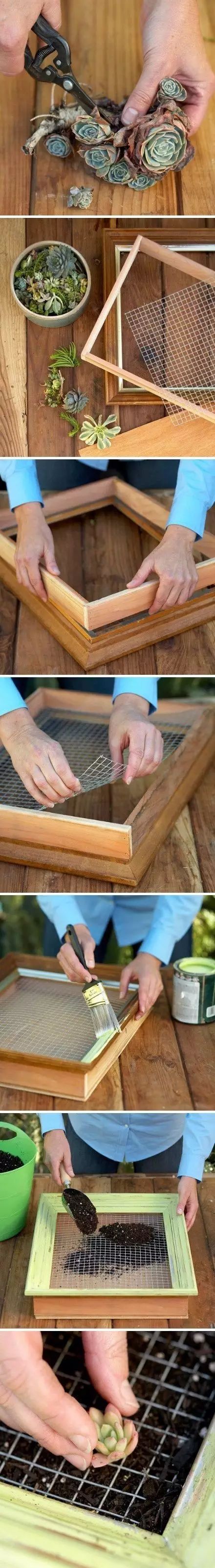 置爱｜植物1.0是种在盆儿里的，植物2.0都趴在墙上的