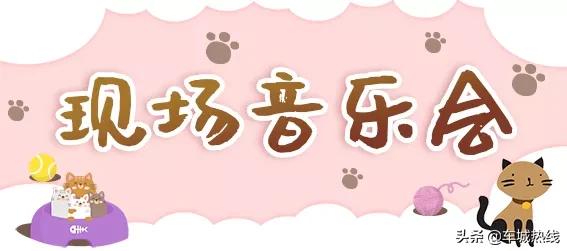 萌化了！十堰茅箭区首届撸猫节，周末约起