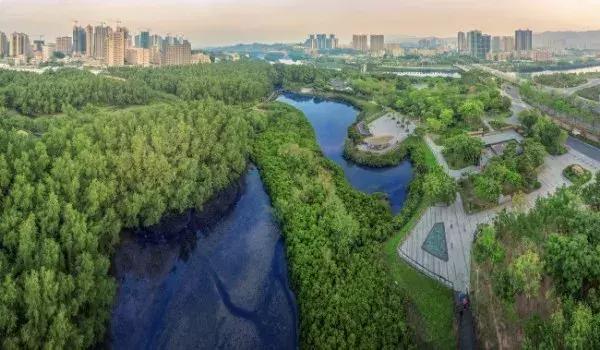 红树林二手房首付,热销楼盘红树林花园二手房