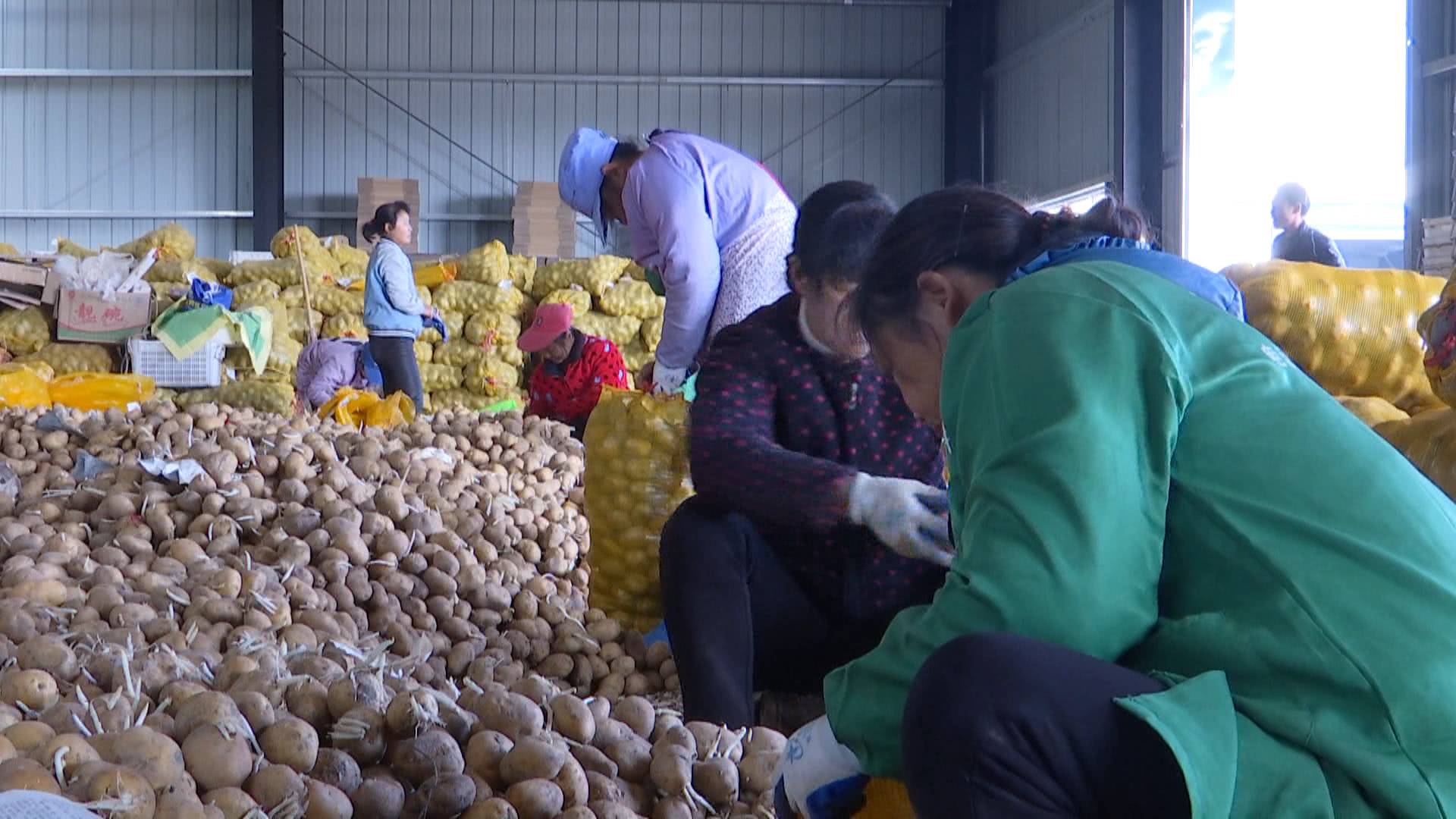 年薪20万it男,年薪20万农村it男