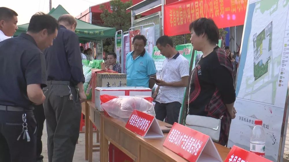 孝昌农业发展现状简介,稻虾第一村产业示范园