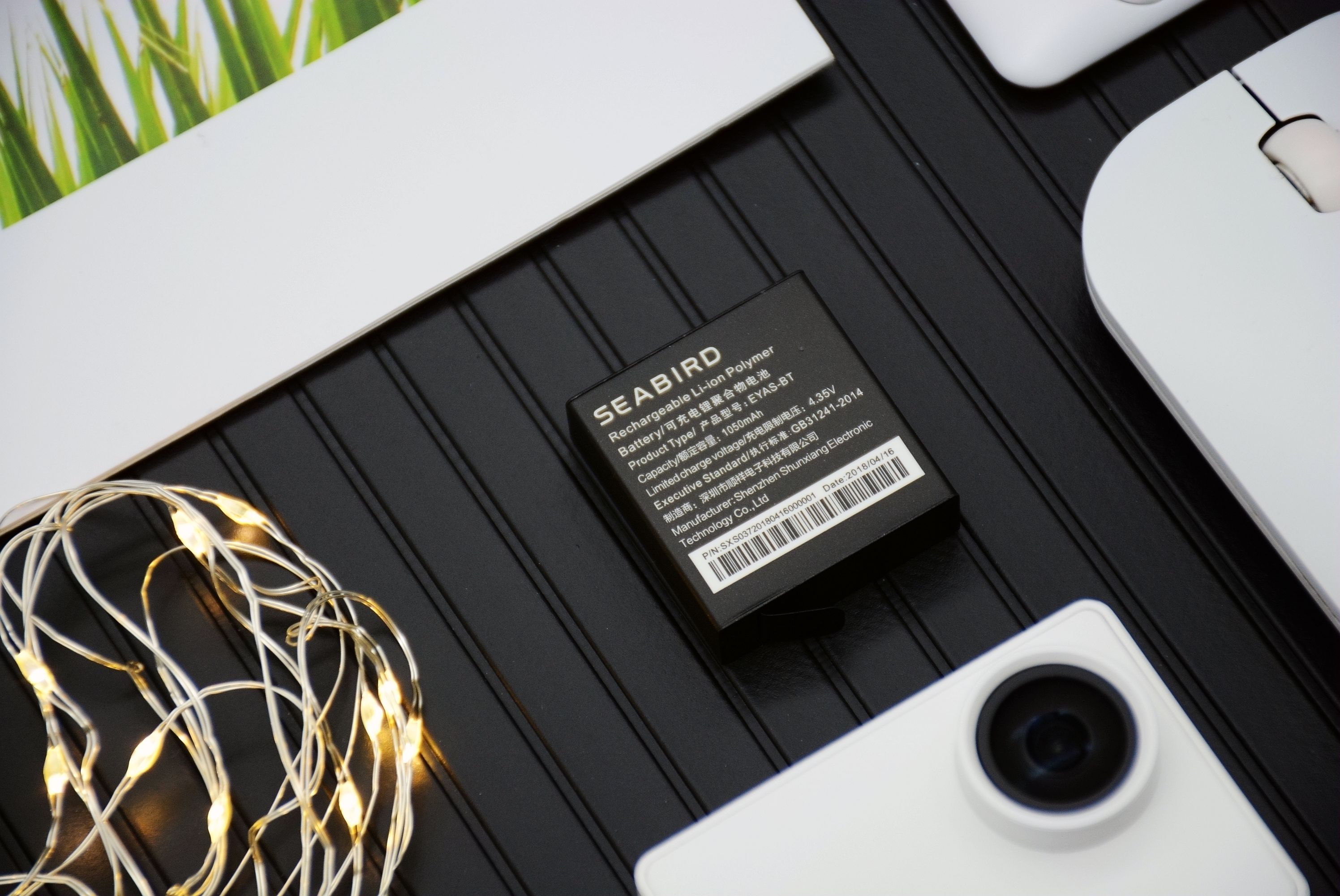 水下摄影4k,海鸟4k运动相机深度评测