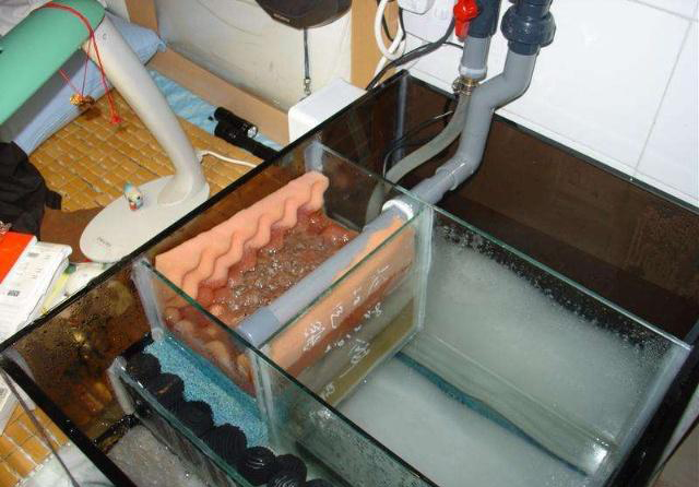 想把鱼养好,先把过滤这点事儿整明白就算向前迈了一大步